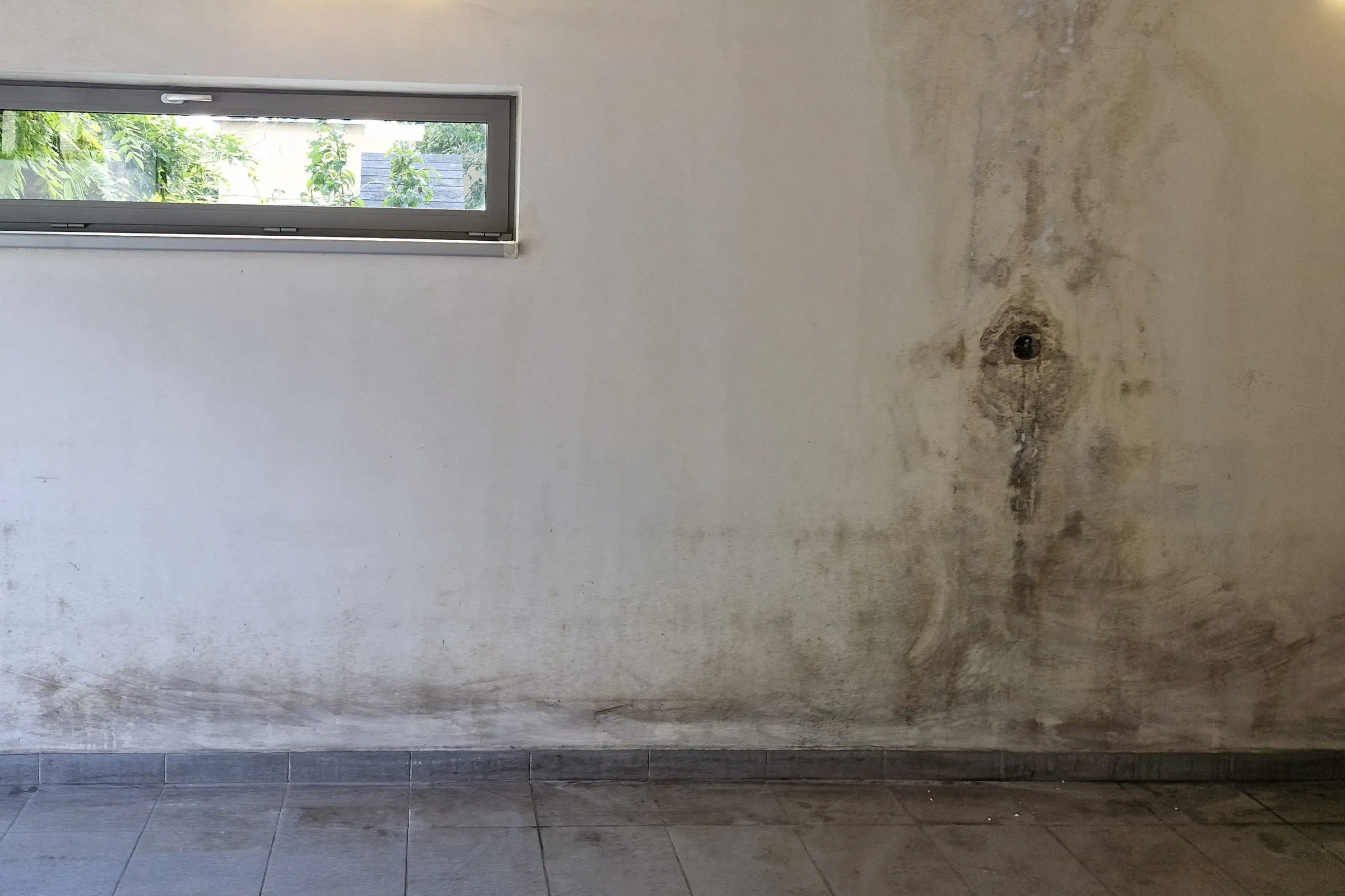 Pred: pleseň a mapy na stene garáže